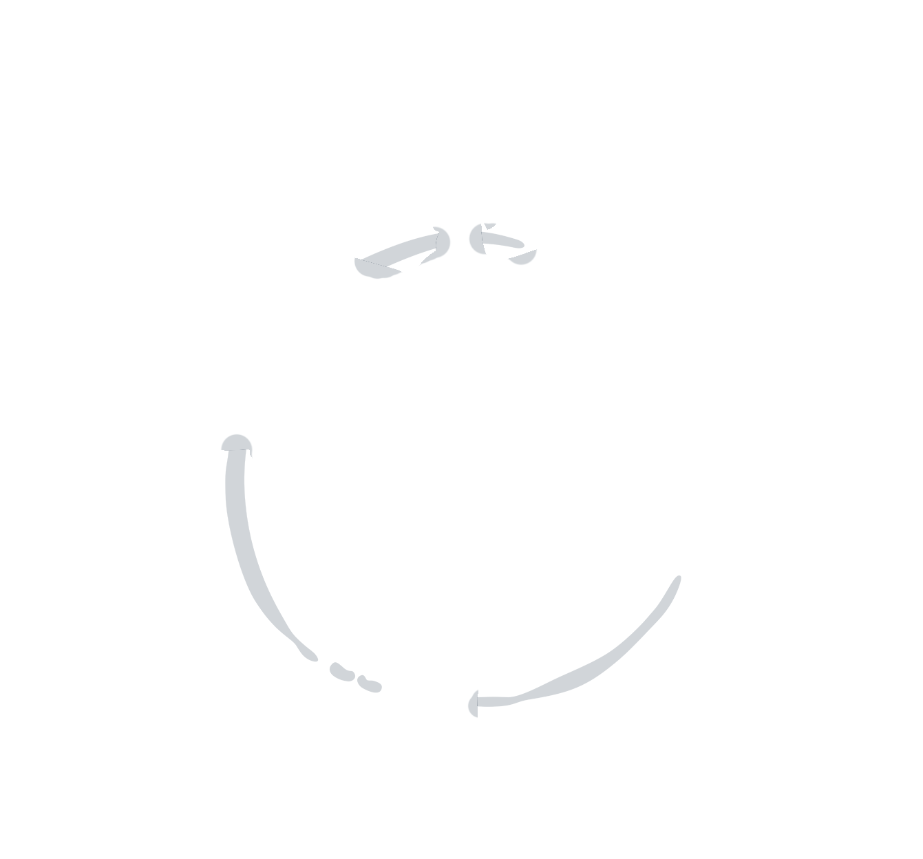 Dragonfly Studio