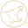 Golden Hippo