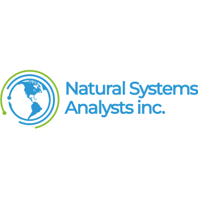 Data Systems Analysts