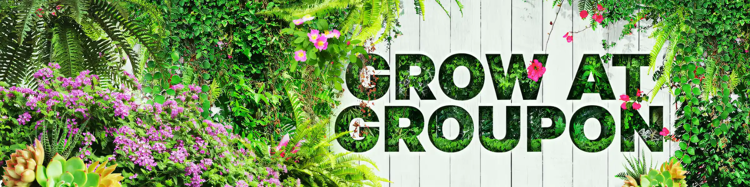 Groupon