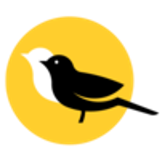 Baltimore Orioles