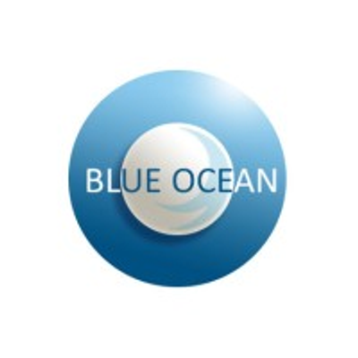 Blue Ocean Recruitment